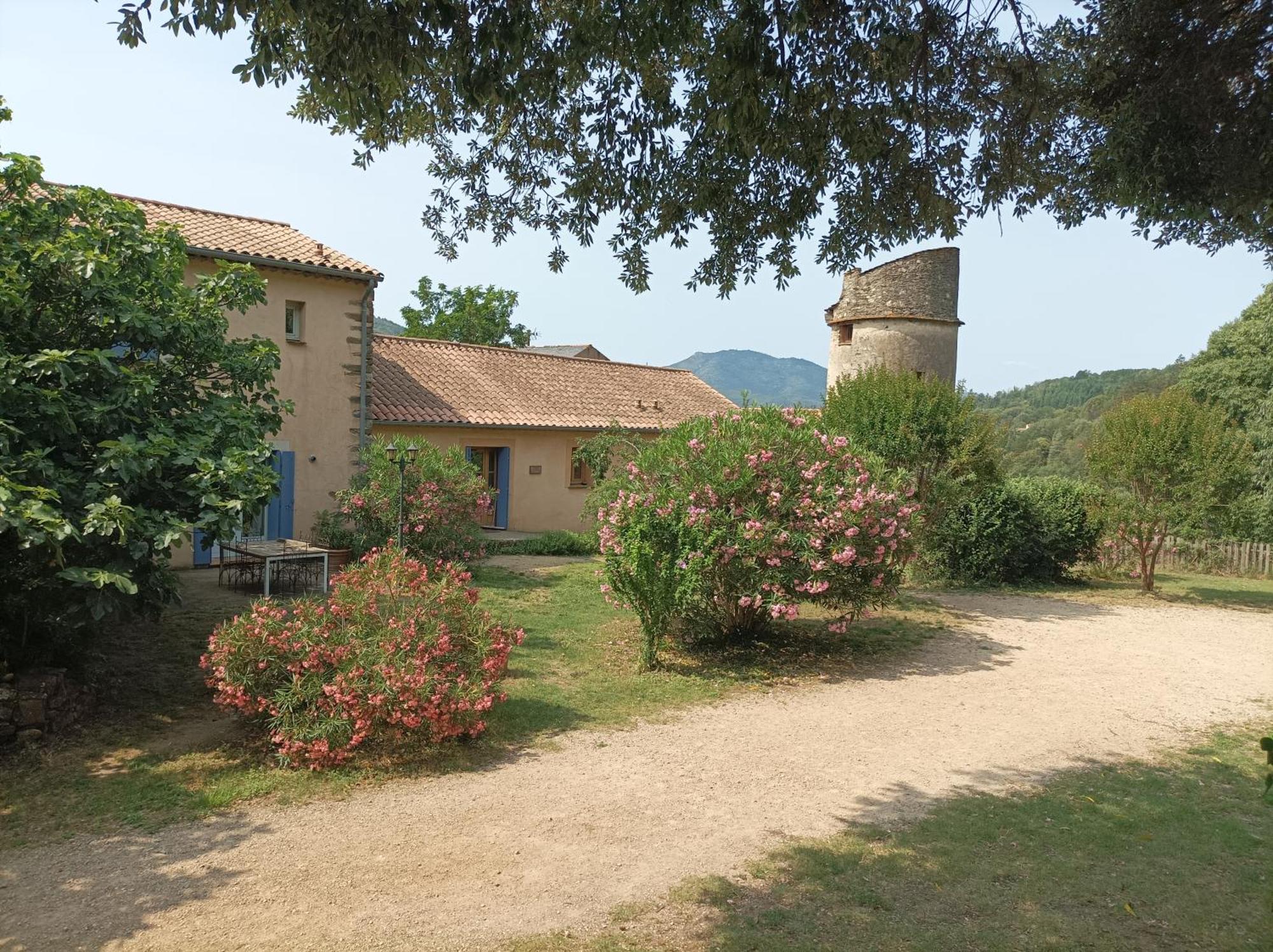 Chateau De Colombieres Sur Orb Dış mekan fotoğraf