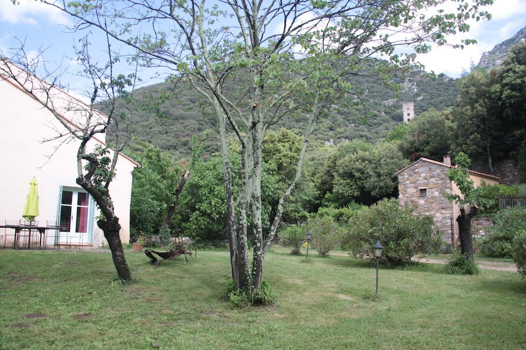Chateau De Colombieres Sur Orb Dış mekan fotoğraf